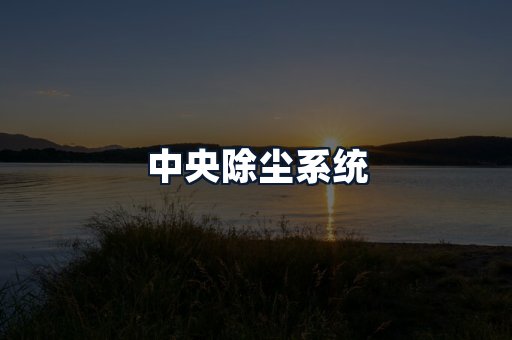 中央除尘系统