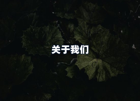 关于我们